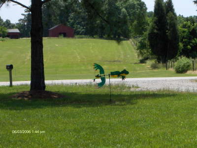 A little yard art from OBX